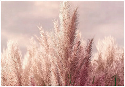 Wallarena Photo Wallpaper Boho Nature Bedroom Non-Woven Wall Mural Modern 400X280 Cm from B&Q