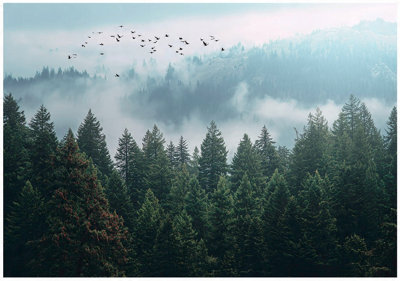 Wallarena Photo Wallpaper Forest Bedroom Non-Woven Wall Mural Modern 300X210 Cm from B&Q
