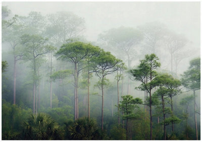 Wallarena Photo Wallpaper Living Room Forest Fog Non-Woven Wall Mural Modern 350X250 Cm from B&Q