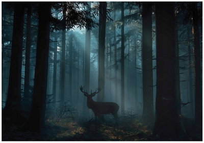 Wallarena Photo Wallpaper Forest Bedroom Non-Woven Wall Mural Modern 250X175 Cm from B&Q