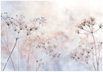 Wallarena Photo Wallpaper Flowers Boho Bedroom Non-Woven Wall Mural Modern 250X175 Cm from B&Q