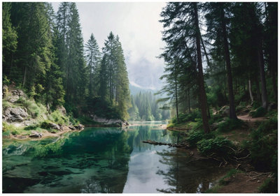 Wallarena Photo Wallpaper Forest Trees Wall Mural Non-Woven Modern 300X210 Cm from B&Q