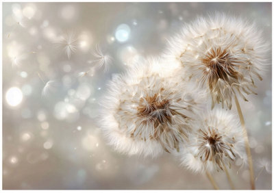 Wallarena Photo Wallpaper Living Room Dandelions Non-Woven Wall Mural Modern 300X210 Cm from B&Q