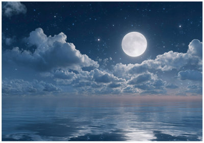 Wallarena Photo Wallpaper Moon Sea Night Mural Non-Woven Modern 400X280 Cm from B&Q