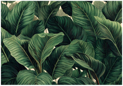 Wallarena Photo Wallpaper Leaves Green Jungle Non-Woven Wall Mural Modern 300X210 Cm from B&Q