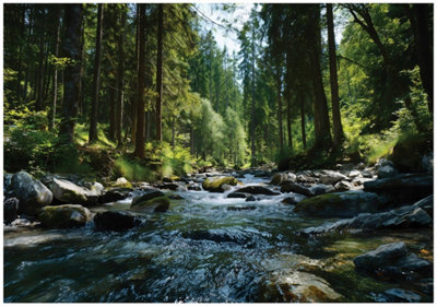 Wallarena Photo Wallpaper Forest Nature River Non-Woven Wall Mural Modern 300X210 Cm from B&Q