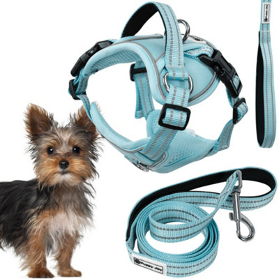 Leash And Harness Tutumi Pj-050 Blue Xs from B&Q