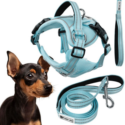 Leash And Harness Tutumi Pj-054 Blue S from B&Q