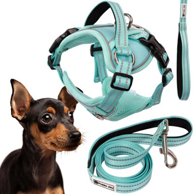 Leash And Harness Tutumi  Pj-053 Green S from B&Q