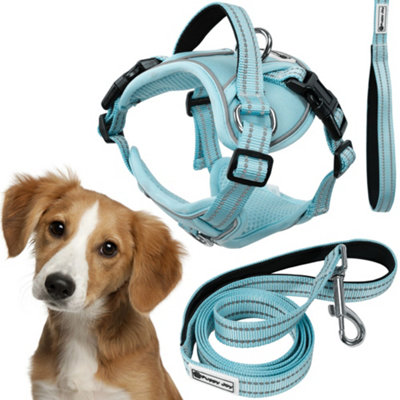 Leash And Harness Tutumi Pj-058 Blue M from B&Q