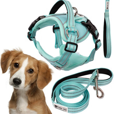 Leash And Harness Tutumi Pj-057 Green M from B&Q