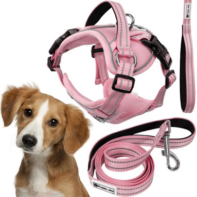 Leash And Harness Tutumi Pj-056 Pink M from B&Q