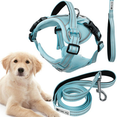 Leash And Harness Tutumi  Pj-062 Blue L from B&Q