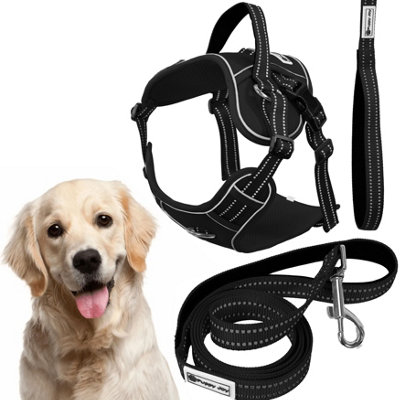 Leash And Harness Tutumi Pj-063 Black Xl from B&Q