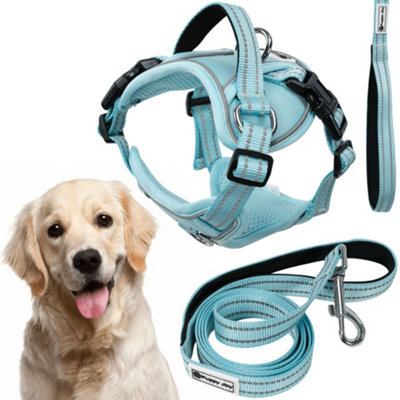 Leash And Harness Tutumi  Pj-066 Blue Xl from B&Q