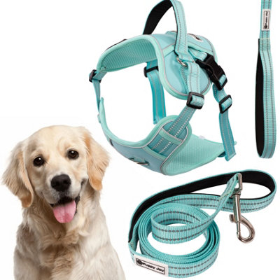 Leash And Harness Tutumi Pj-065 Green Xl from B&Q