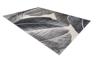 RugsX Carpet Fusion 8912 Dark GreyFeathersModernAbstract 120X170 Cm from B&Q