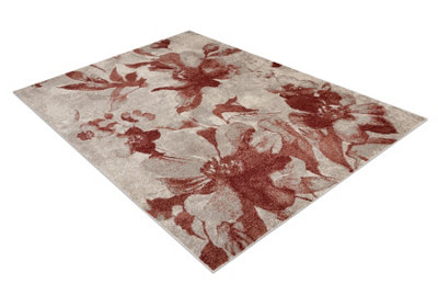 RugsX Carpet Fusion 8259 Cream ClaretFlowersModernAbstract 180X270 Cm from B&Q