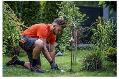 Agritrade Ak Uk 36-38W (Eu54) Shorts Men Work Half Elastic Waist Triple Stitched Cordura Reinforcing Stress Points Orange Inserts from B&Q