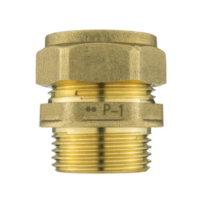  - Brass Compression Straight Fitting 22mm X 3/4" Bsp MaleCompression Connection