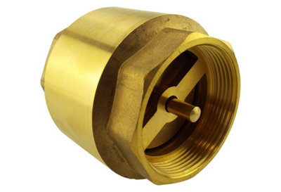  - Non Return Valve 2 Inch Bspf With Brass Plate X1