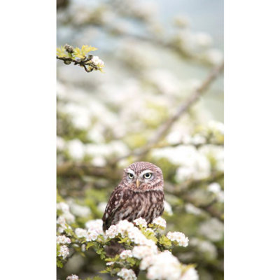 595x995 Owl In The Spring Image Nexus Wi-Fi Infrared Heating Panel 580W - Electric Wall Panel Heater