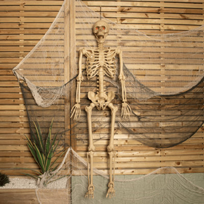[Prextex]Prextex 19Posable Halloween Skeleton Full Body Halloween Skeleton with Movable /Posable Joints and 2 Sets of [並行輸入品] Amazon.com: PREXTEX Skeleton Halloween & Day of The Dead