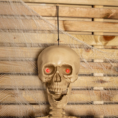 藤井保　SKELETON 61Ruezy+CPL._UF350,350_QL80_.jpg