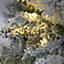 5FT Prelit Helsinki Christmas Tree Warm White LEDs