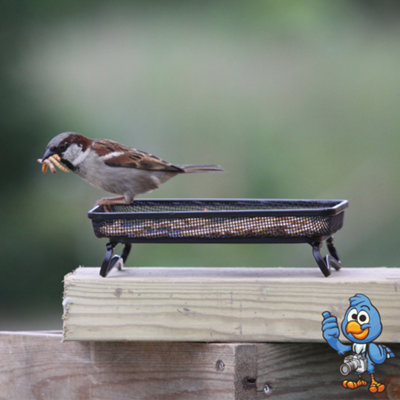 5kg BusyBeaks Dried Mealworms - High Quality Wild Bird Food Treats For Garden Birds - 3