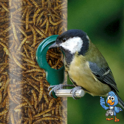 5kg BusyBeaks Dried Mealworms - High Quality Wild Bird Food Treats For Garden Birds - 4