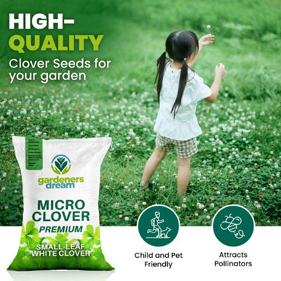 5kg Micro White Clover Grass Seed Eco-Friendly Drought Resistant Lawn Cover