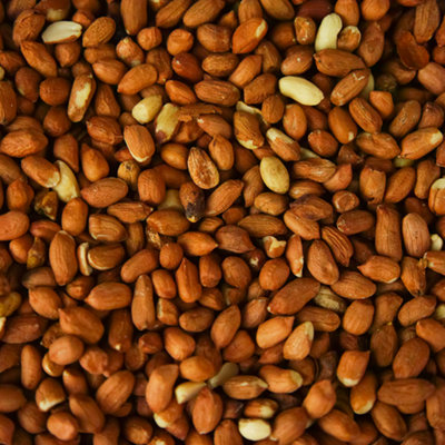 5kg SQUAWK Whole Peanuts - Fresh Premium Wild Garden Bird Seed Food Nut Energy Feed