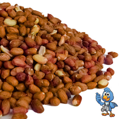 BusyBeaks Gehackte Erdnüsse Für Wildvögel – 1 Kg, Proteinreich, Aflatoxinfrei, Perfekt Für Vogelfutterhäuser