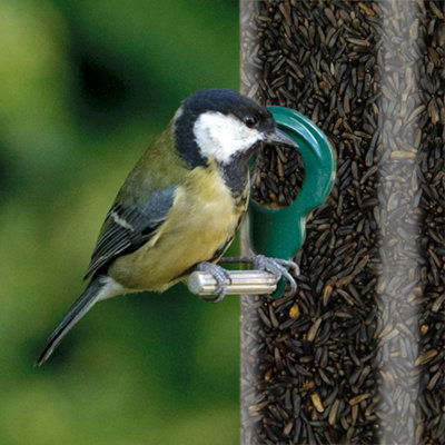 5L SQUAWK Nyjer Seeds - Quality Wild Bird Feed High Energy Garden Finch Food - 5