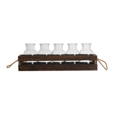 5Pcs Glass Planter with Wooden Holder for Propagating Hydroponic