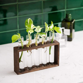 5Pcs Glass Terrarium Planters with Wooden Holder Test Tubes Office Decoration Plant Lover Gifts