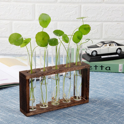 5Pcs Terrarium Planters with Wooden Holder Test Tubes