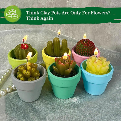 plant pot tray 15cm Round plant pot carry tray  Plant Pots Direct