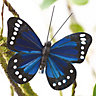 6 Clip-On Butterflies Decorations - 8cm Blue Butterfly Ornaments for Fairy Lights, Picture Frames, Flower Stems & Branches