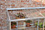 6 Feet Wall Frame/Growhouse with 6 Shelves- Aluminium/Glass - L183 x W63 x H149 cm - Antique Ivory