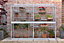 6 Feet Wall Frame/Growhouse with 6 Shelves- Aluminium/Glass - L183 x W63 x H149 cm - Chestnut Brown