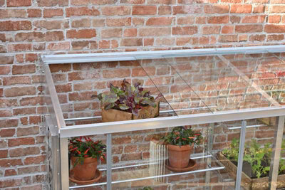 6 Feet Wall Frame/Growhouse with 6 Shelves- Aluminium/Glass - L183 x W63 x H149 cm - Chestnut Brown