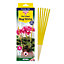 6 Houseplant Sticky Insect Traps Plant Pot Sticks Non Toxic Odorless Bug Traps