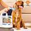 6 in 1 Pet Cleaning&Grooming Vacuum with 5 Nozzles