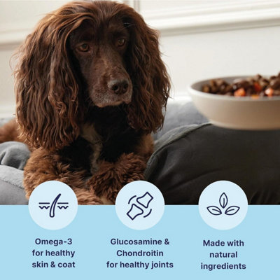 6 x 150g Tails.com Inner Vitality Adult Wet Dog Food Variety Multipack ...