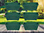6 x 40cm Small Plastic Venetian Window Box Trough Planter Pot Green Colour