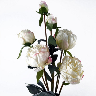 6 x 55cm Cream Peony Artificial Flower