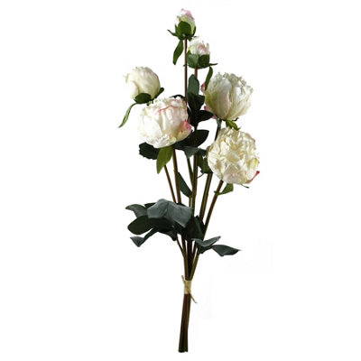 6 x 55cm Cream Peony Artificial Flower