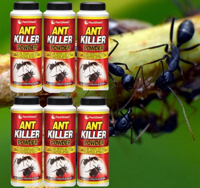 6 x PestShield Ant Killer Powder 150g